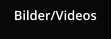Bilder/Videos